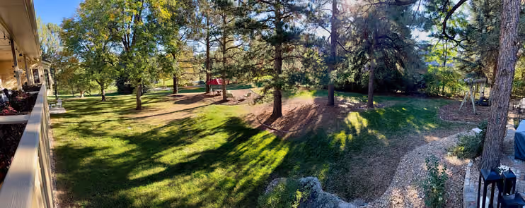 Doug Tisdale’s backyard in Cherry Hills Village, with mature trees and open lawn.